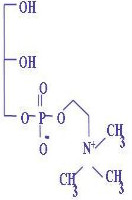 Growth Hormone L glutamine in 