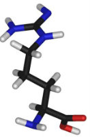 Growth Hormone L glutamine in 