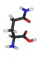 Growth Hormone L glutamine in Growth Hormone L glutamine in