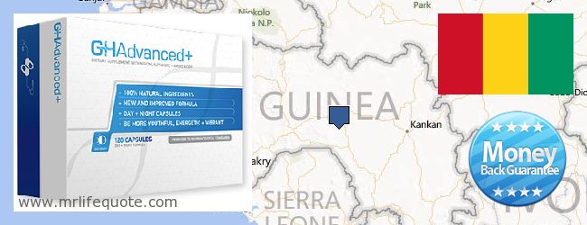 Onde Comprar Growth Hormone on-line Guinea