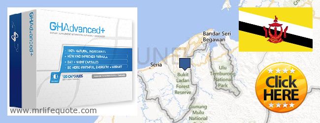 Hol lehet megvásárolni Growth Hormone online Brunei