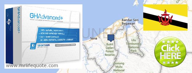 Kde koupit Growth Hormone on-line Brunei