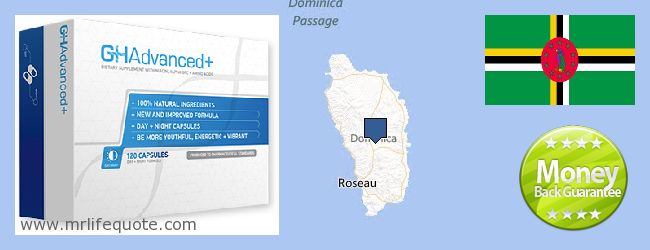 Kde koupit Growth Hormone on-line Dominica