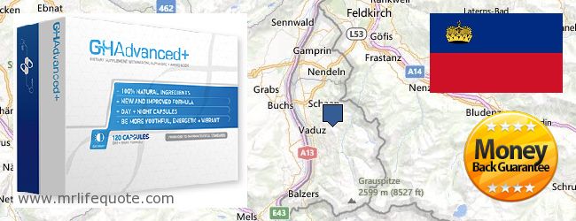 Kde koupit Growth Hormone on-line Liechtenstein