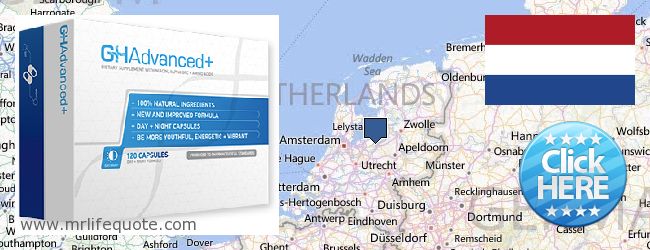 Kde koupit Growth Hormone on-line Netherlands