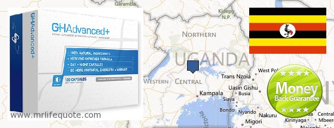 Kde koupit Growth Hormone on-line Uganda