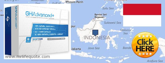 Jälleenmyyjät Growth Hormone verkossa Indonesia