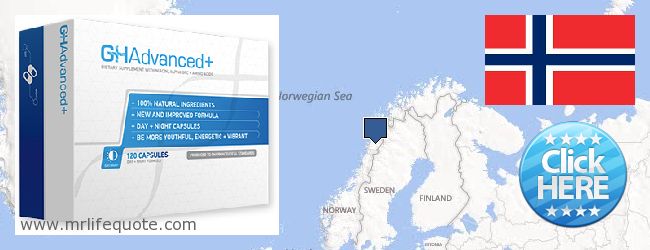 Jälleenmyyjät Growth Hormone verkossa Norway