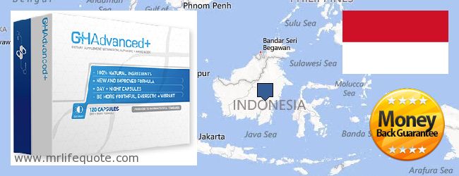 Где купить Growth Hormone онлайн Indonesia